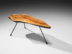 Carl Auböck for Werkstätte Carl Auböck 'Tree' Coffee Table with Walnut Slab