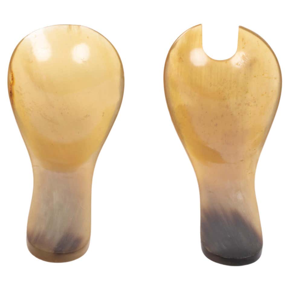 Bone Musical Instruments - 8 For Sale at 1stDibs