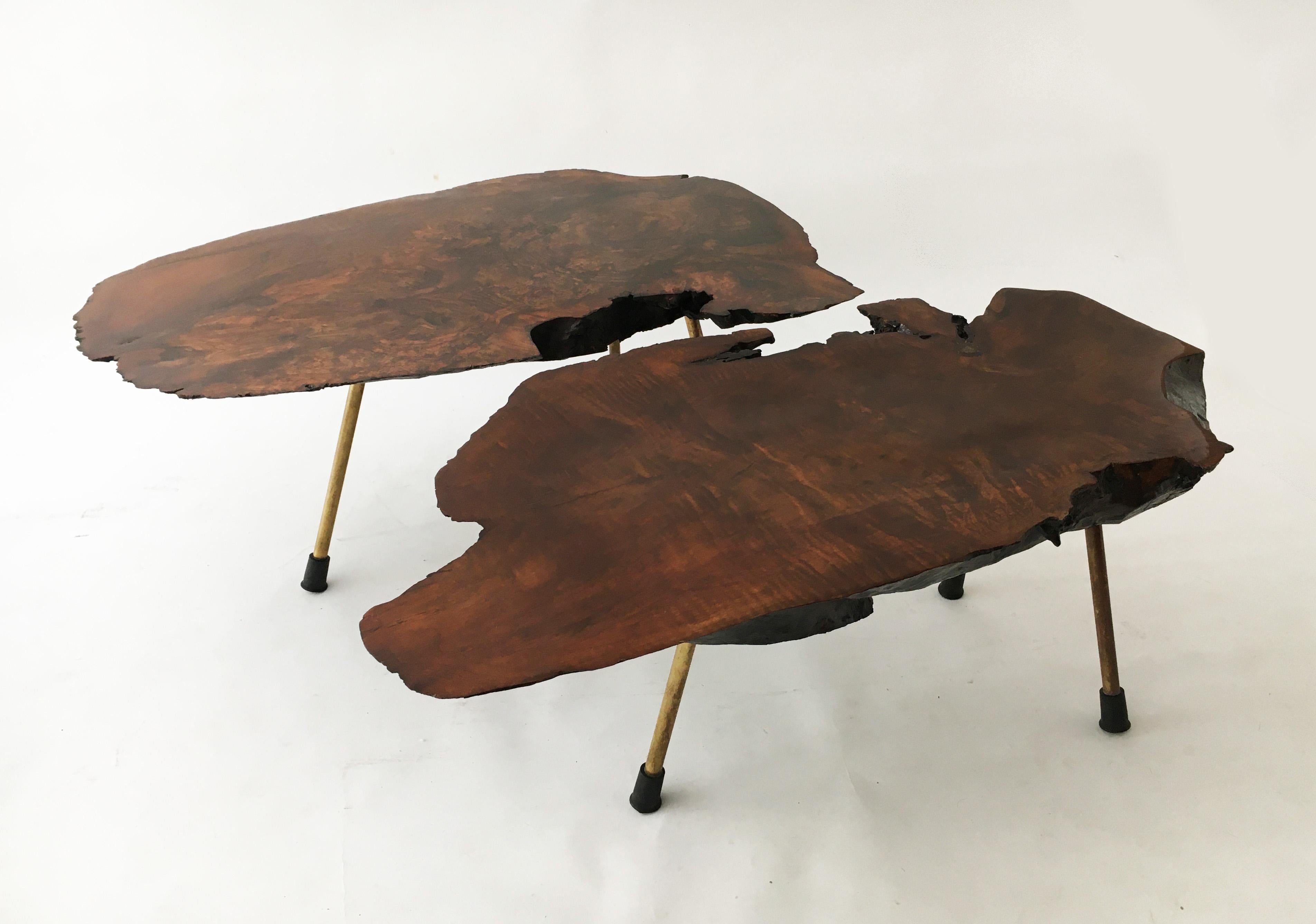 Carl Auböck Large Walnut Tree Trunk Tables, Set of Two, Austria, 1950s 8