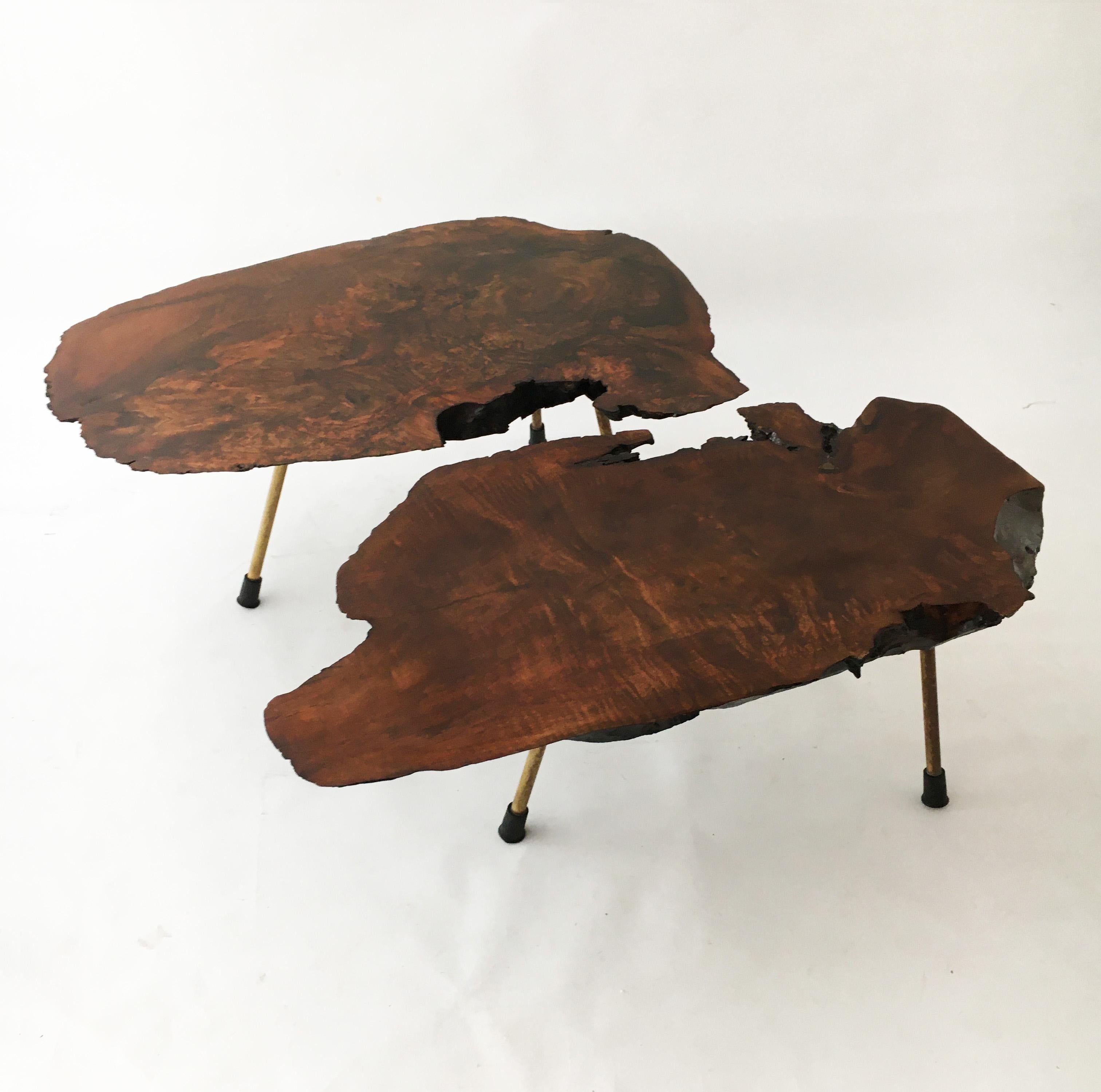 Carl Auböck large walnut tree trunk tables, set of two, Austria 1950s. Signed 'Auböck' on the brass legs. Legs numbered with corresponding number embossed into the wood slab. The tabletop was re-polished under guidance from Mr. Auböck IIII. with to