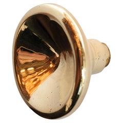 Carl Auböck Model #6040 B7-2 Polished Brass Knob