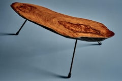 Carl Auböck Tree Trunk Coffee Table by Werkstätte Carl Auböck, Austria 1950s