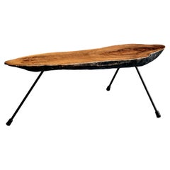 Carl Auböck Tree Trunk Coffee Table by Werkstätte Carl Auböck, Austria 1950s