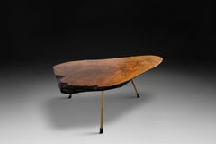 Carl Auöck II. Tree Trunk Coffee Table, Austria 1950s