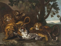 Tigres combattants et un lion - Huile sur toile - Milieu du 17ème siècle