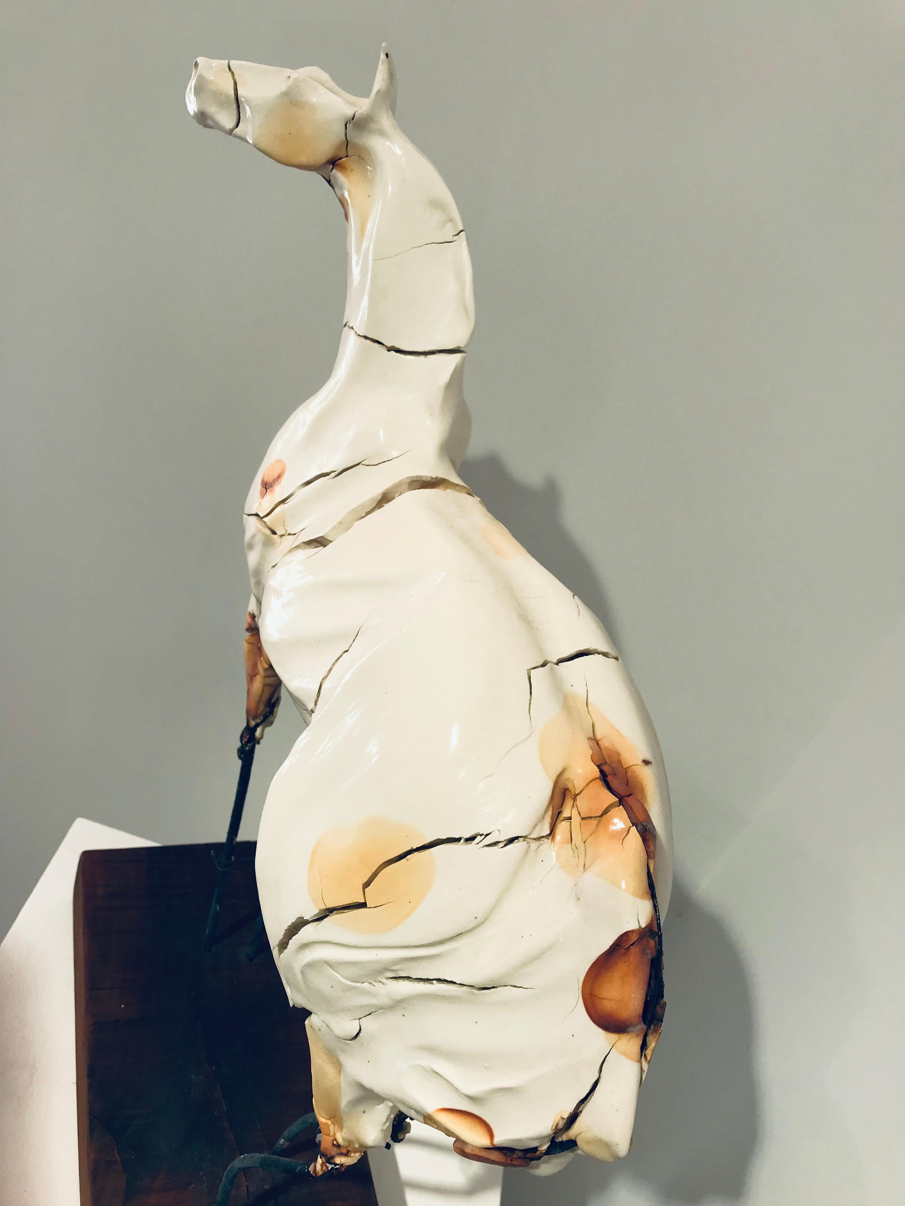 Cheval Blanc (Zeitgenössisch), Sculpture, von Carl Dahl