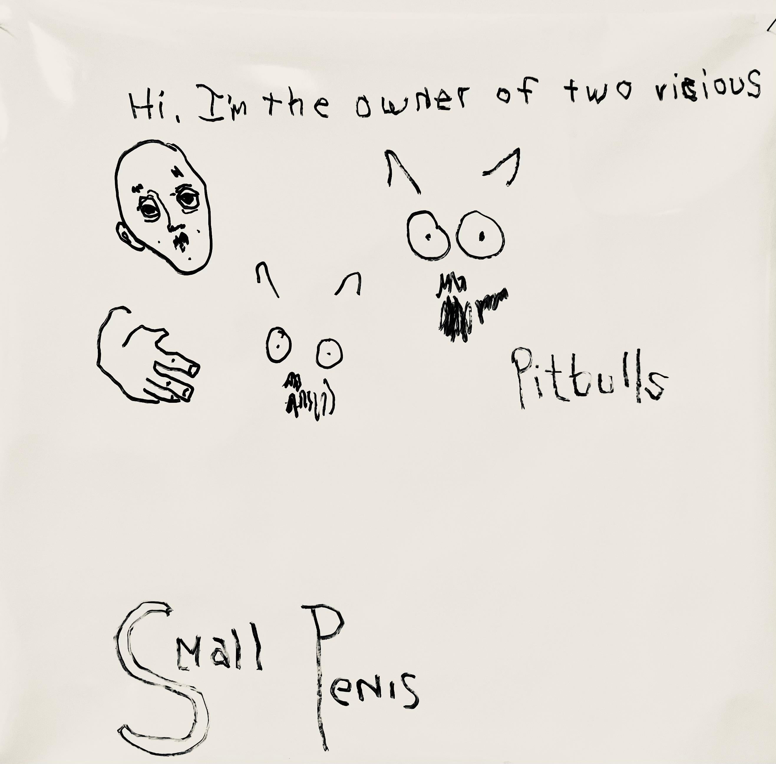 C. Dimitri Abstract Painting - Pitbulls, glyphic symbols text includes "pitbull" "small penis" dog theme