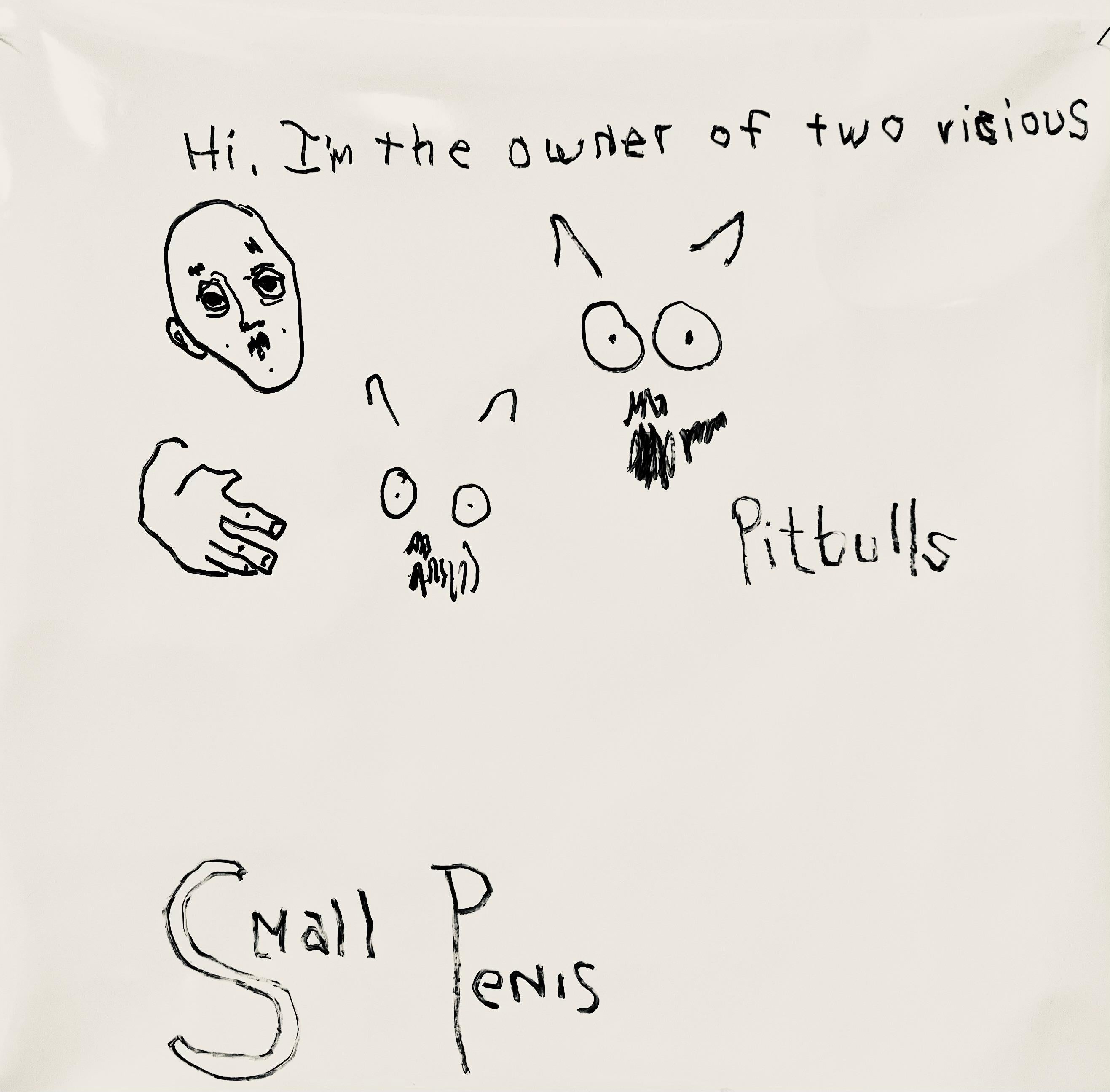 Abstract Painting de C. Dimitri - Pitbulls, símbolos glíficos texto incluye "pitbull" "pene pequeño" tema perro
