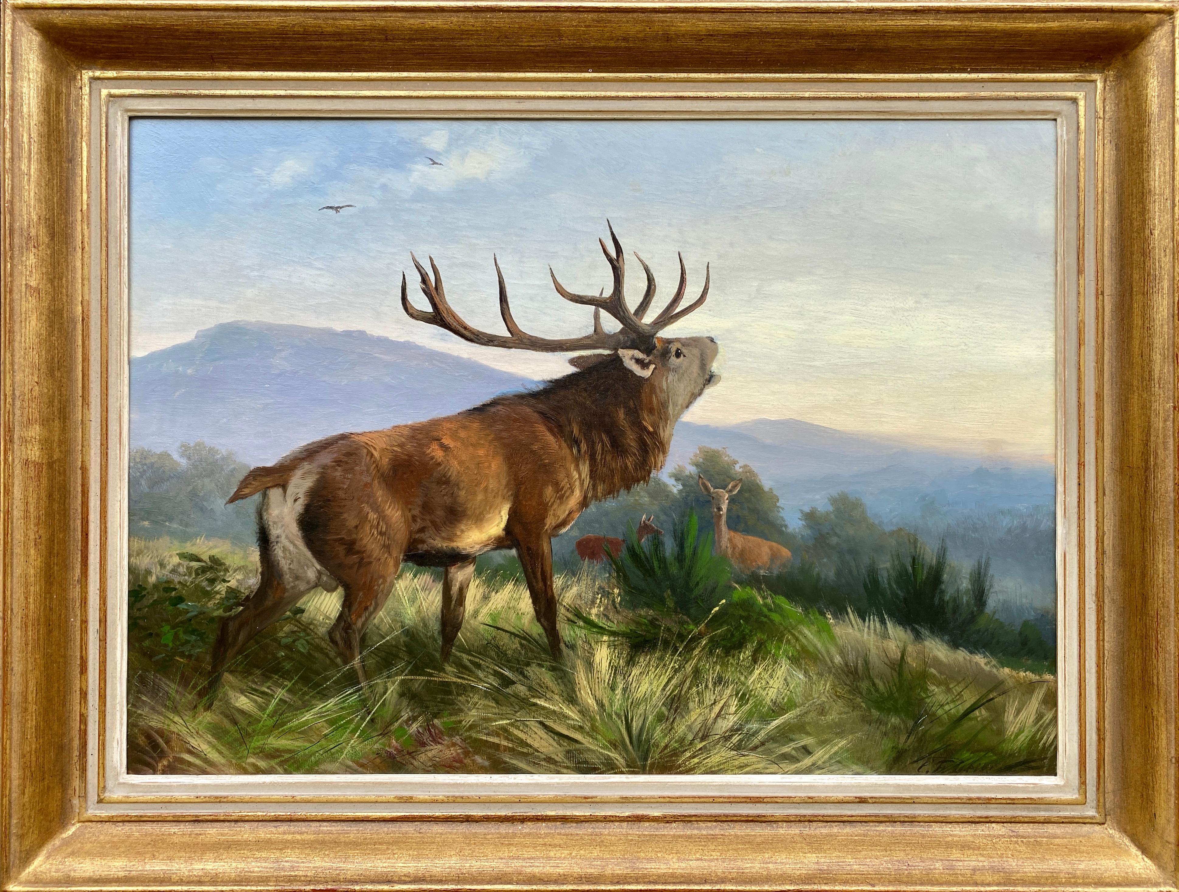 Cerf rugissant, Carl Friedrich Deiker, Wetzlar 1836 - 1892 Düsseldorf, Signé