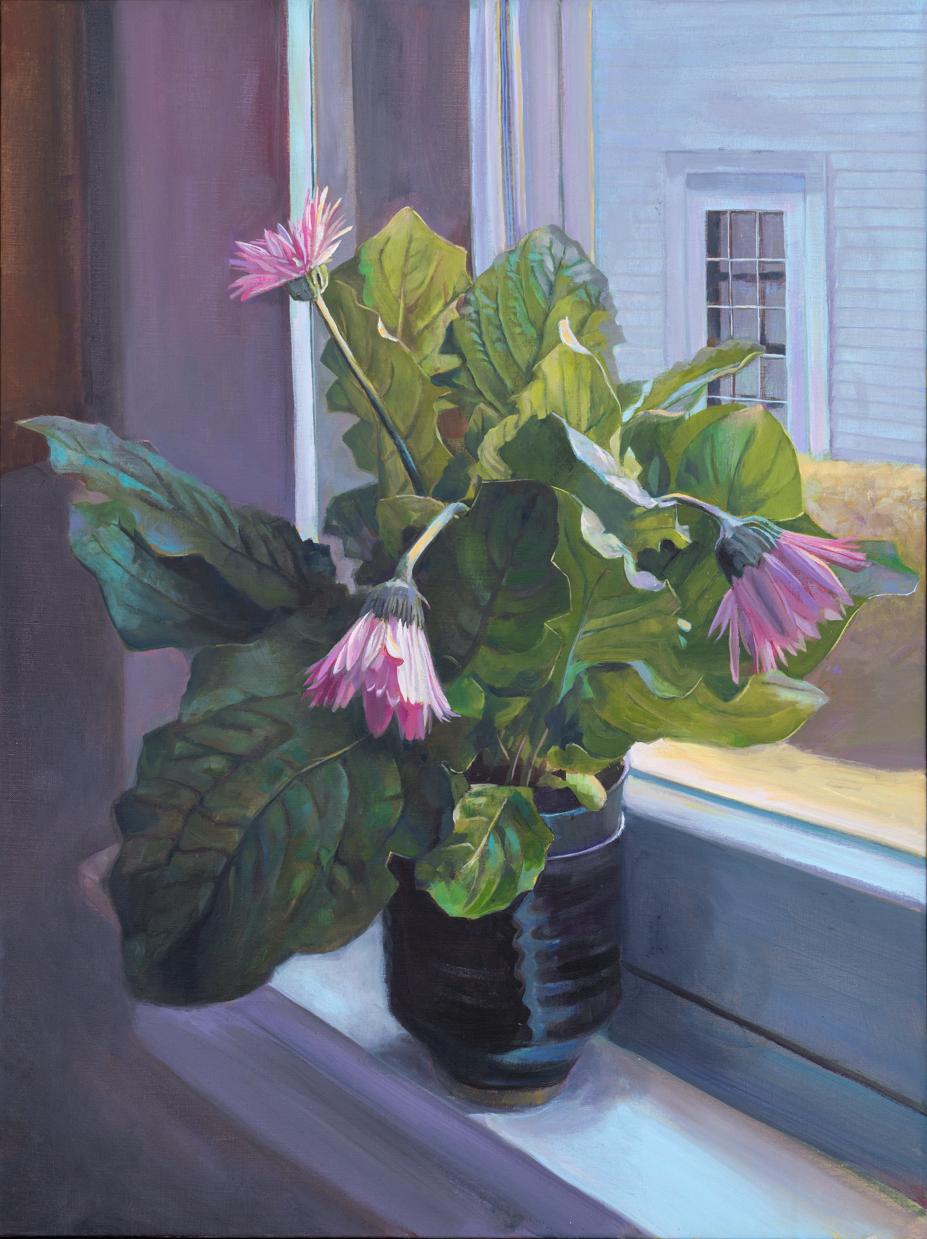 Carl Grauer Still-Life Painting – Gerber Gänseblümchen (Zeitgenössisches Stillleben mit rosa Blumen auf Fensterschrank, gerahmt)