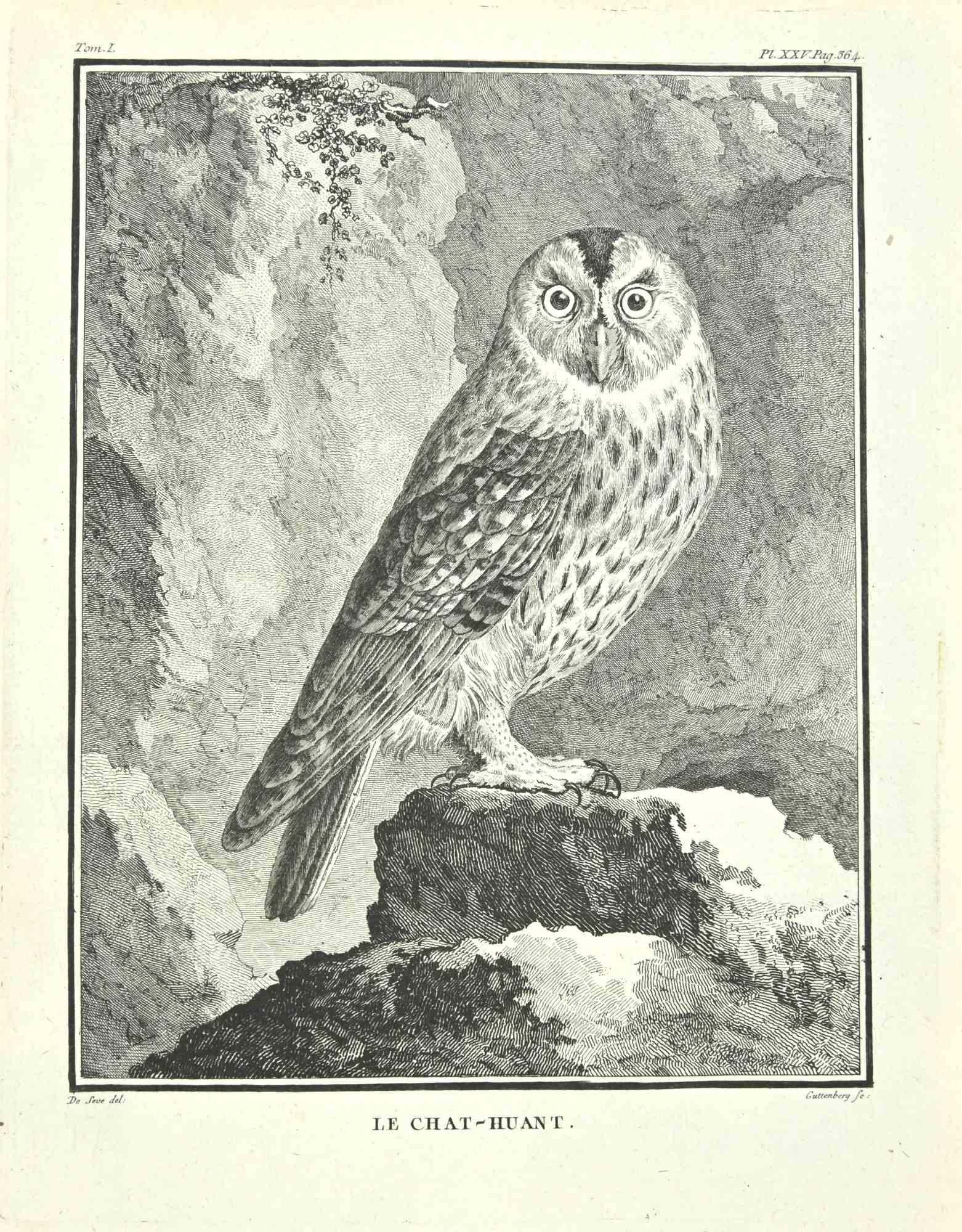 Le Chat-Huant is an etching realized by Carl Guttenberg in 1771.

Signed in plate.

The artwork Belongs to the suite "Histoire naturelle, générale et particulière avec la description du Cabinet du Roi". Paris: Imprimerie Royale, 1749-1771. 
