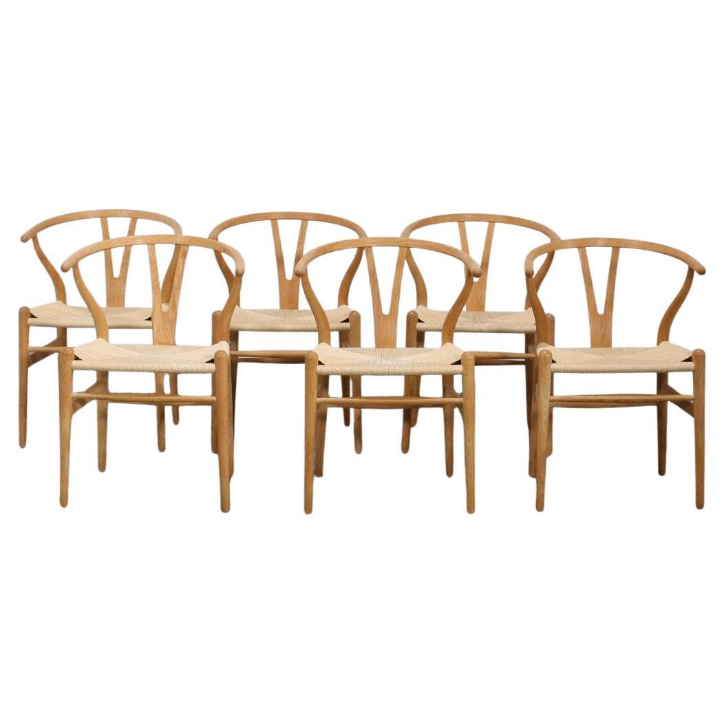 Carl Hansen & Son CH24 Wishbone Chair by Hans Wegner, Set of Six