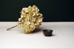 Carl-Harry Stålhane, Miniature, Bol, Rörstrand, années 1950