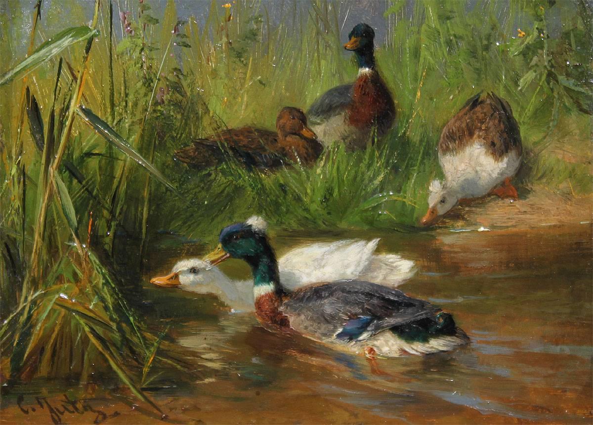 Ducks on the lake - Painting by Carl Jutz the Elder