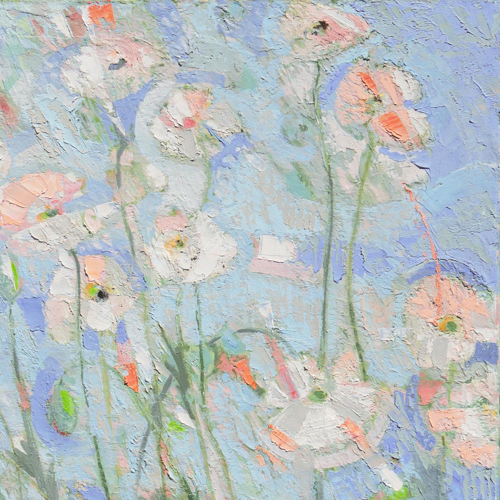 Papaveri rosa e bianchi sotto cieli blu