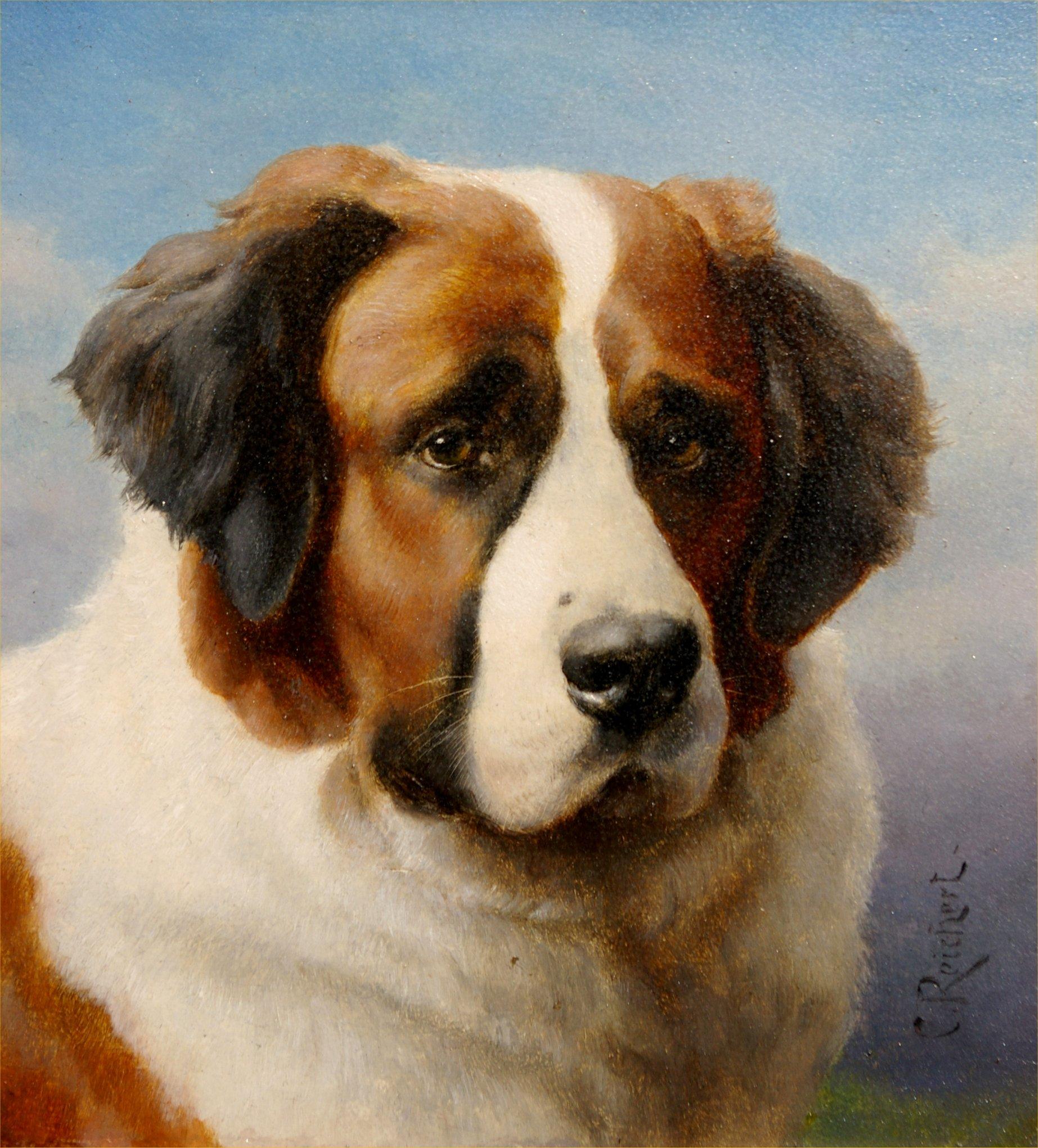 Saint Bernard - Painting by Carl Reichert