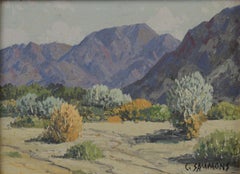 Mid Century Smoke Trees, Palm Springs Landscape