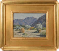 Vintage Mid Century Smoke Trees, Palm Springs Landscape