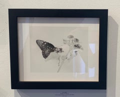 papillon et fleur n° 2