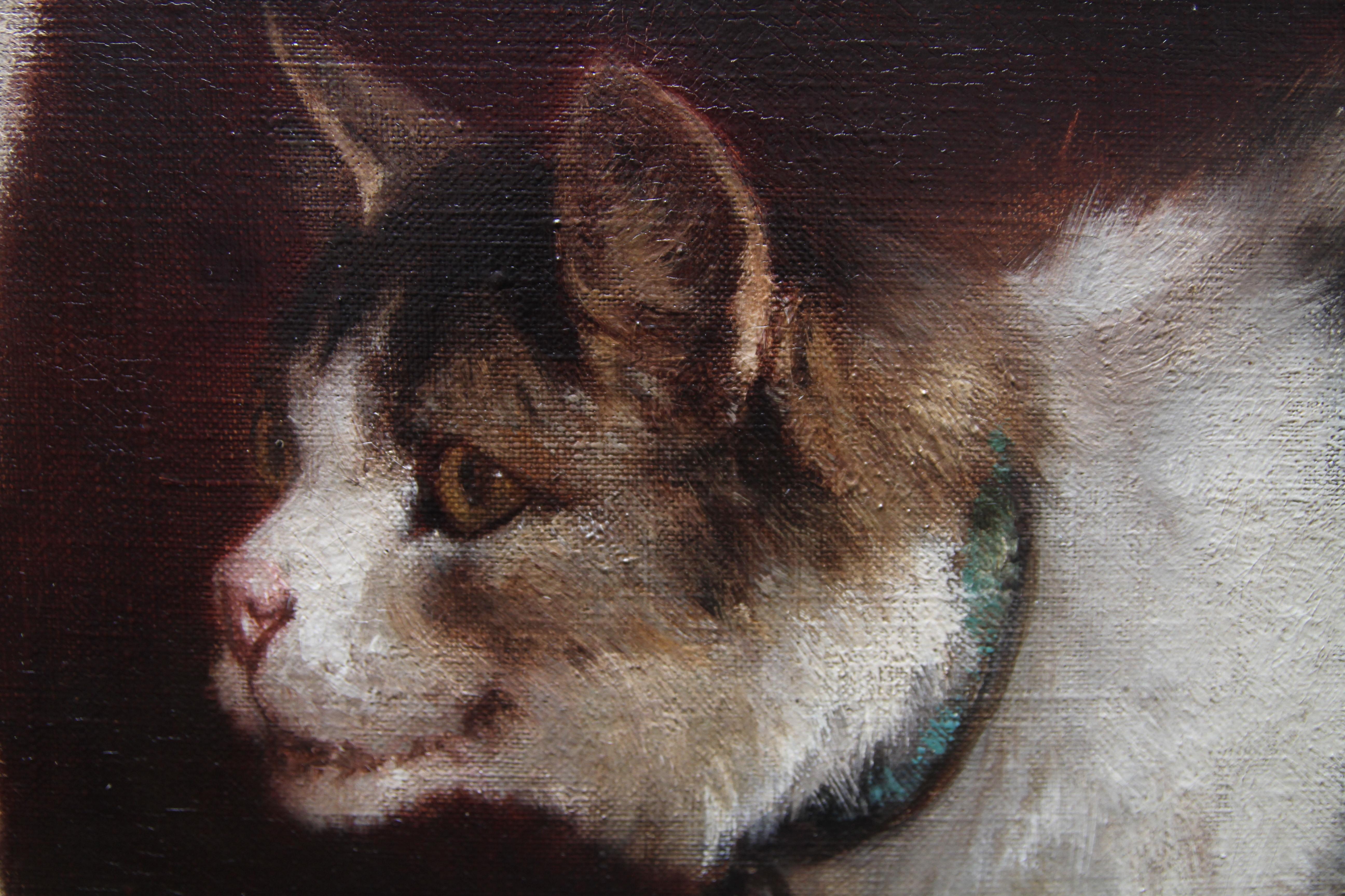 Portrait of a Cat and Dog - Victorian genre 1884 animal art oil painting For Sale 5