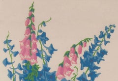 Rittersporn und Fingerhut  (Larkspur and Foxglove)