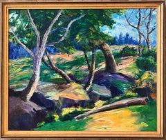 Untitled California Landscape