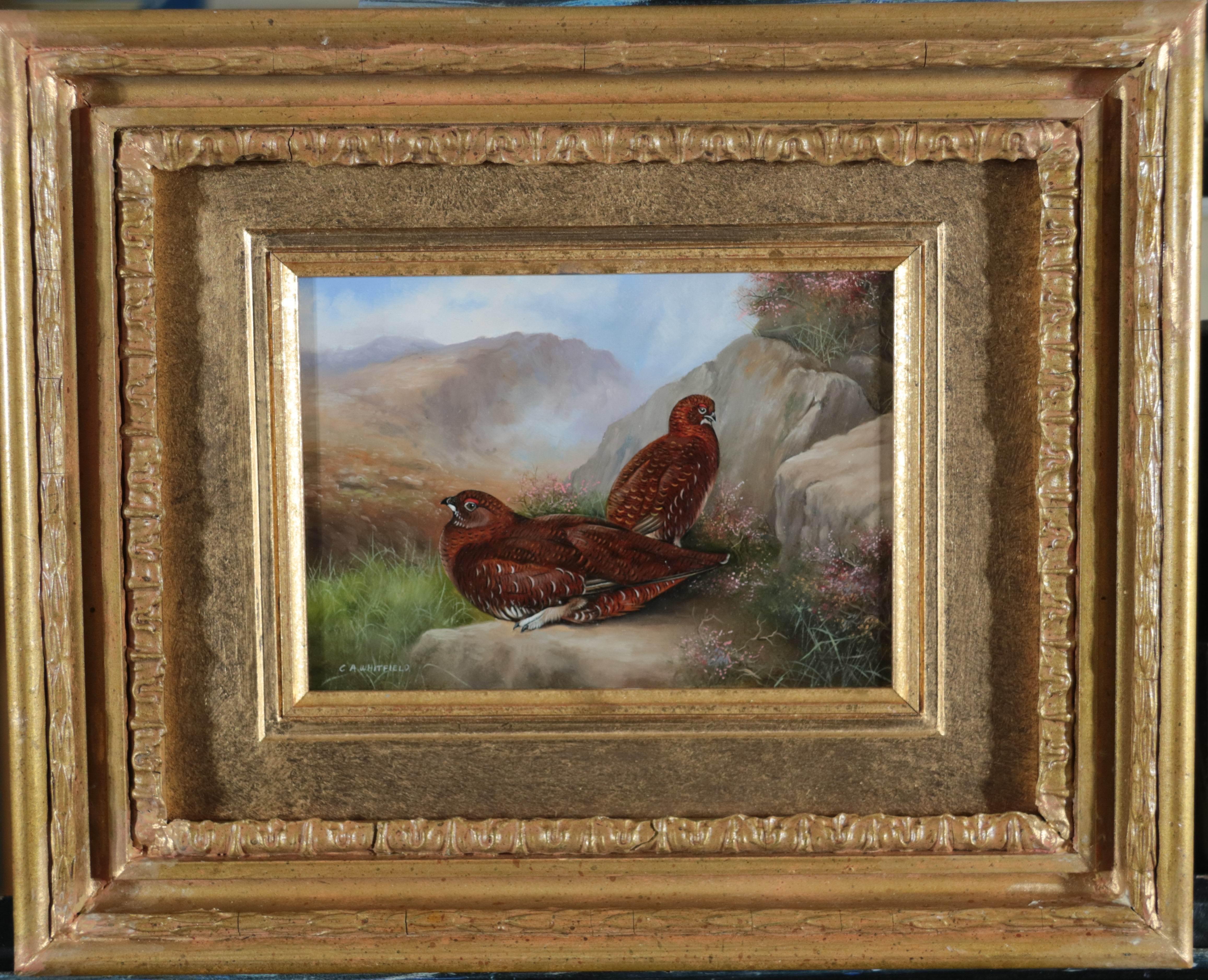Modern Realistic Oil Landscape Painting of a Pair of Grouse in Rocky Moorland - Réalisme Art par Carl Whitfield