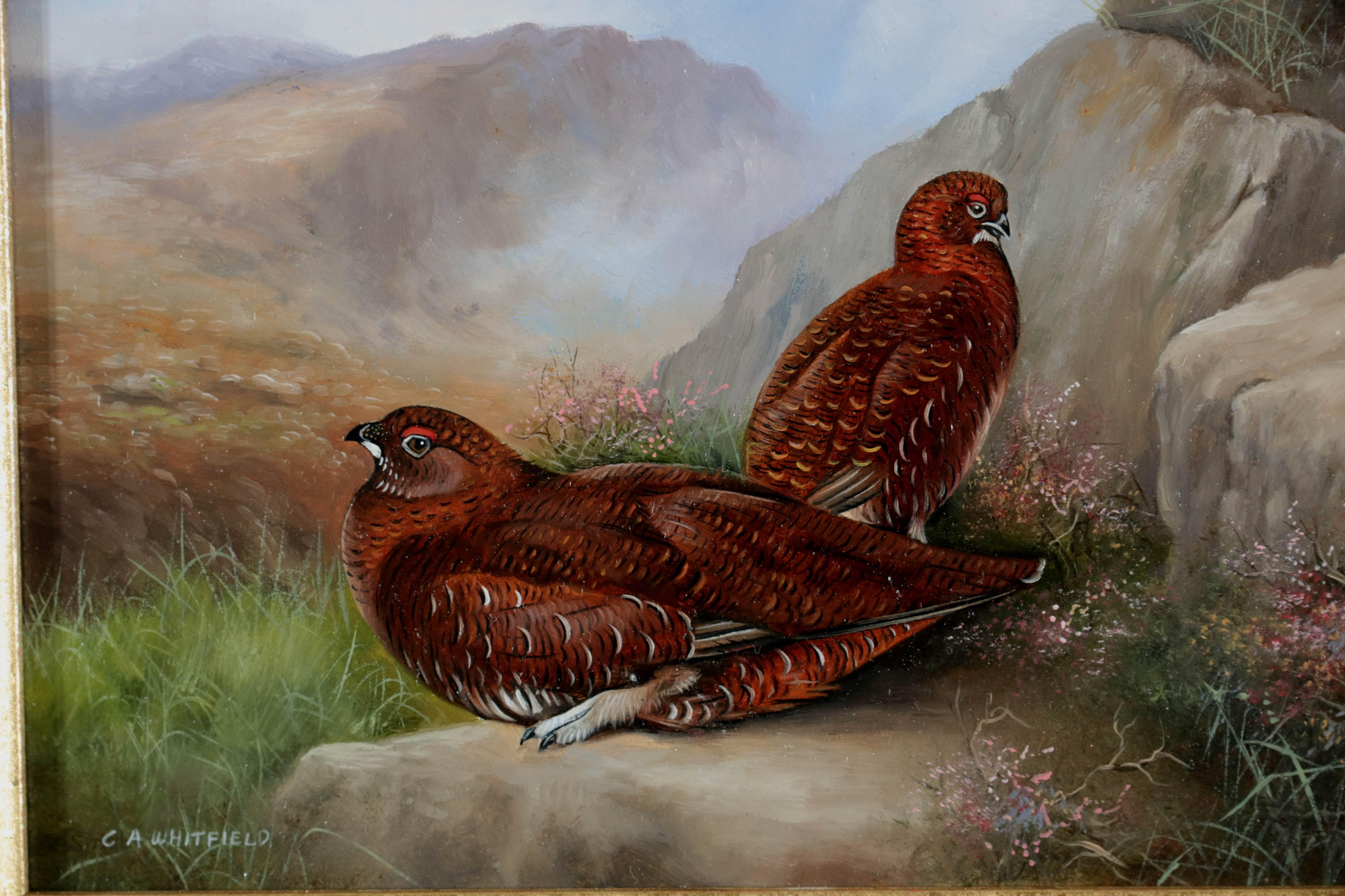 Modern Realistic Oil Landscape Painting of a Pair of Grouse in Rocky Moorland - Art de Carl Whitfield