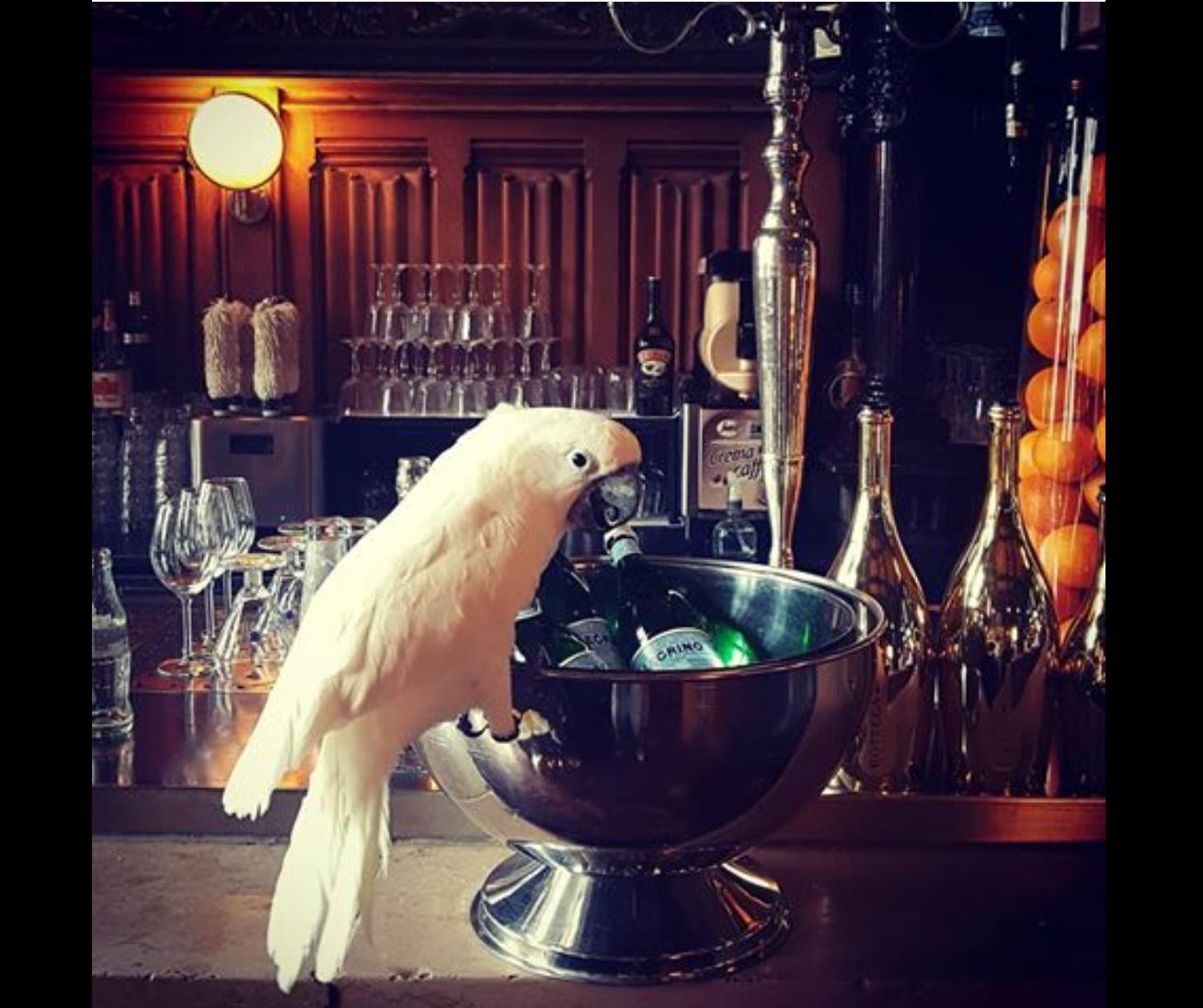 Autrichien Carl Witzmann Wall Light Art Deco en laiton et verre opalin, réédition en vente