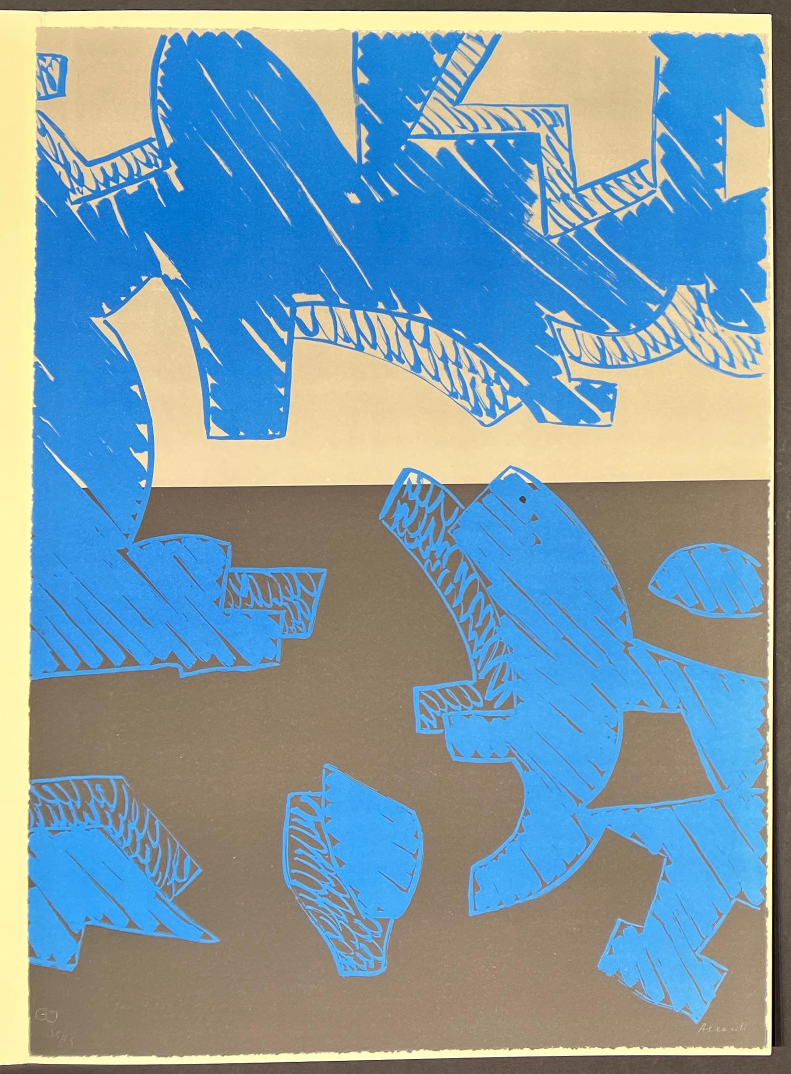 color lithograph , edited in 2000
Limited edition of 99 copies , numbered 85/99 in lower left
Hand signed by Carla Accardi in pencil in the lower right margin
paper size: 70 x 50 cm

excellent conditions with strong deep colors

We offer