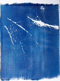 Palma Blue Brush, Handprints. Cyanotype on Paper
