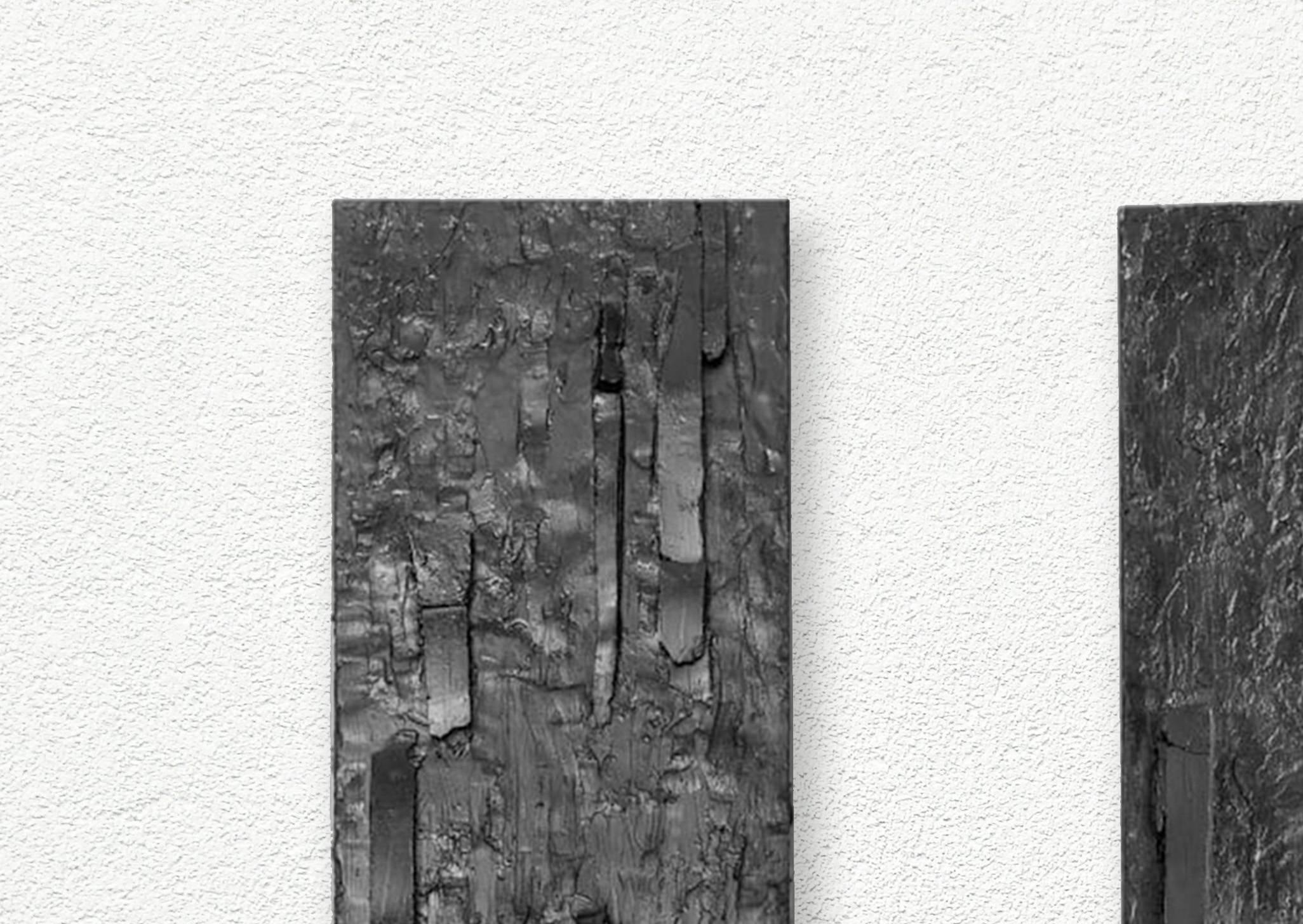 Bark and Reliefes, Wall Sculpture - Black Still-Life Sculpture by Carla Gimbatti