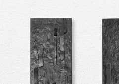 Bark and Reliefes, Wall Sculpture