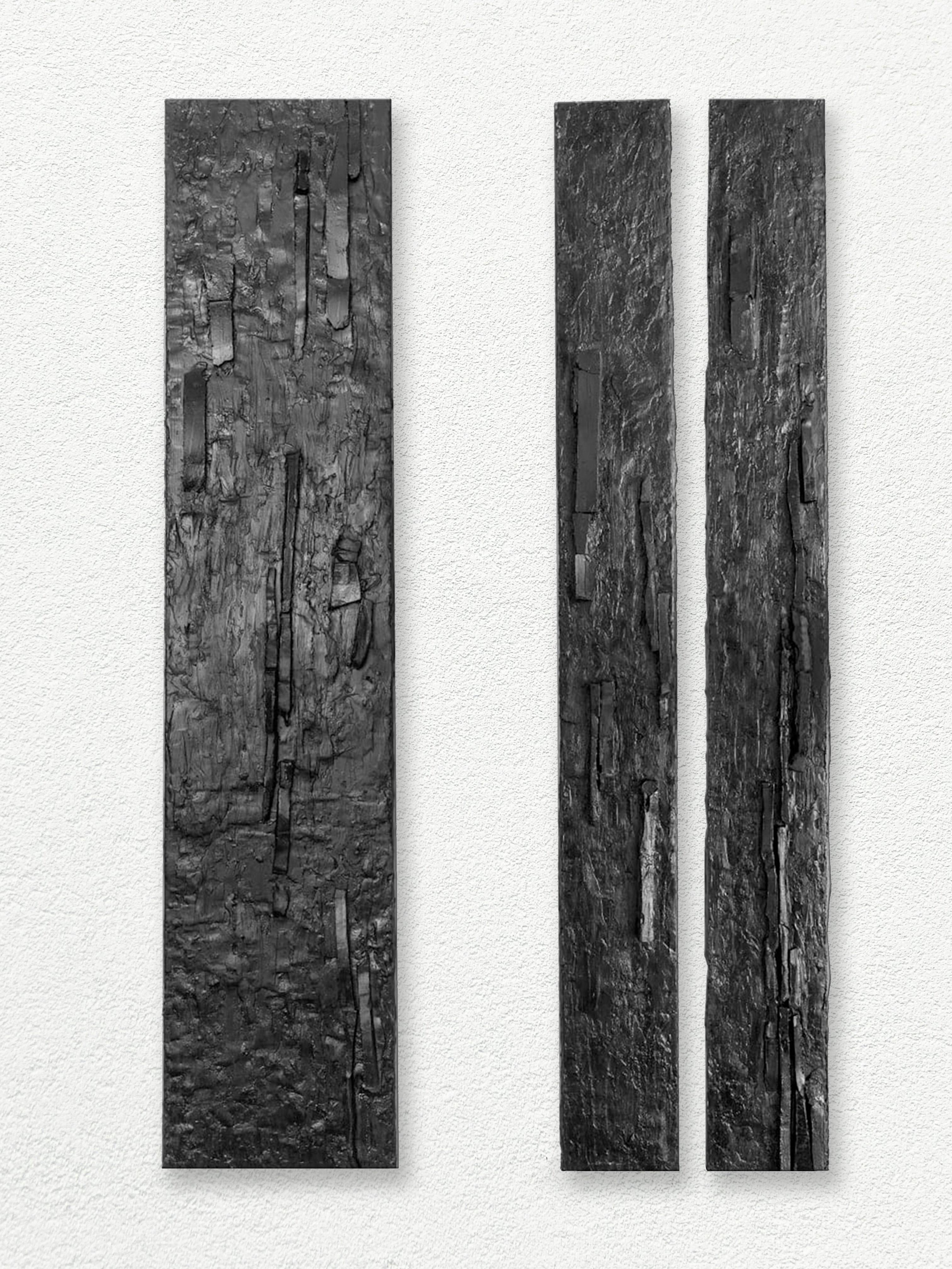 Carla Gimbatti Still-Life Sculpture - Bark and Reliefes, Wall Sculpture