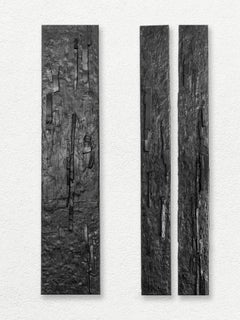 Barken und Reliefs, Wandskulptur