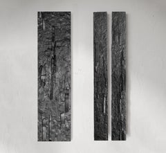 Corteccia e rilievi, Scultura da parete