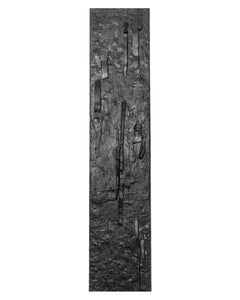 Bark I, Reliefes Wall Sculpture 