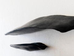 Cuerpos Magnéticos #9 Parte A. Wall sculpture