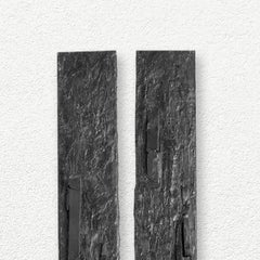 Rilievi, sculture da parete