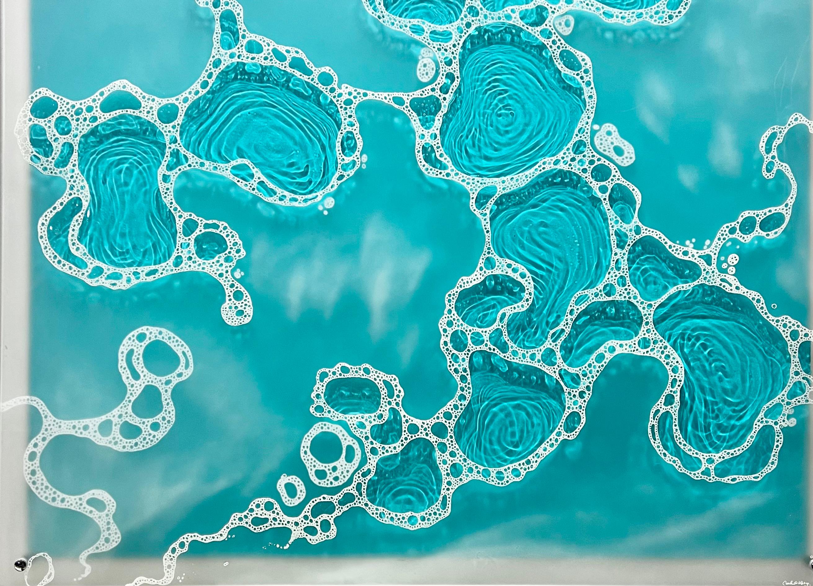Principalmente experimentador, el trabajo de Goldberg es una colección de variaciones sobre el tema del agua en movimiento, a través de dibujos, pinturas y esculturas.

Trabaja principalmente en resinas y conceptos de agua. La combinación de medios