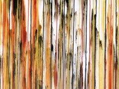 The Emotional Creation #242, Painting, Acrylic on Canvas