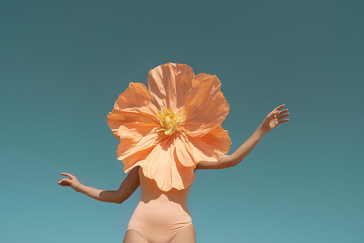 Figurative Photograph Carla Sutera Sardo - Harmonie