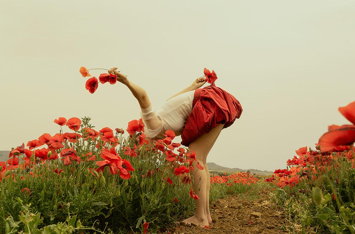Figurative Photograph de Carla Sutera Sardo - Campo de amapolas