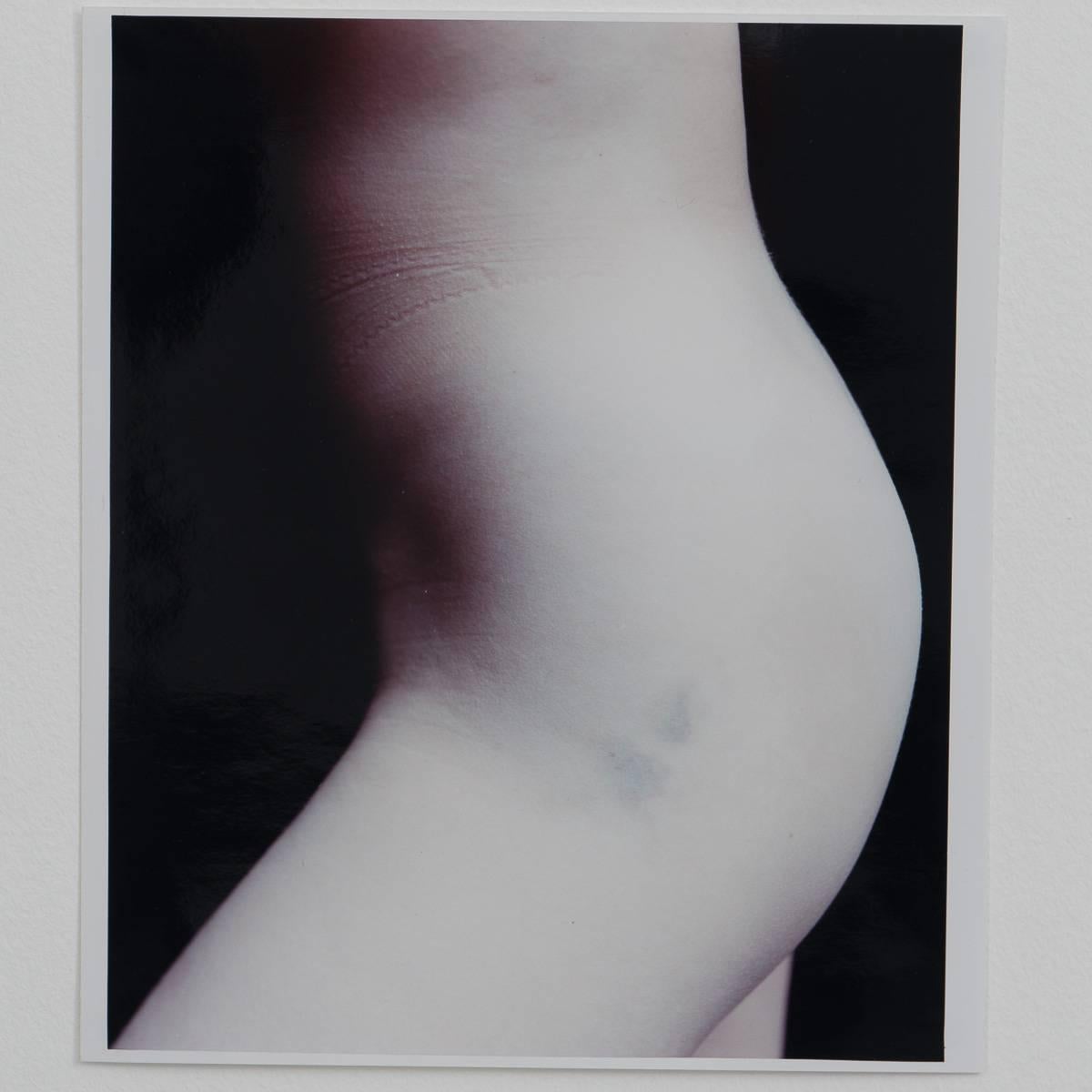 Carla van de Puttelaar est connue pour ses études de nus qui explorent la relation entre la lumière, la couleur et la peau. Les images de Van de Putellar font appel au sens du toucher presque autant qu'à celui de la vue. Elle est diplômée de la