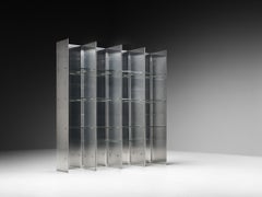 Carla Venosta & Guido Zimmerman for Arflex 'Valiant' Bookcase in Stainless Steel