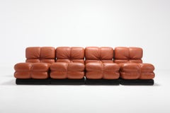 Carla Venosta Ultra Rare 'San Martino' Sectional Sofa for Full