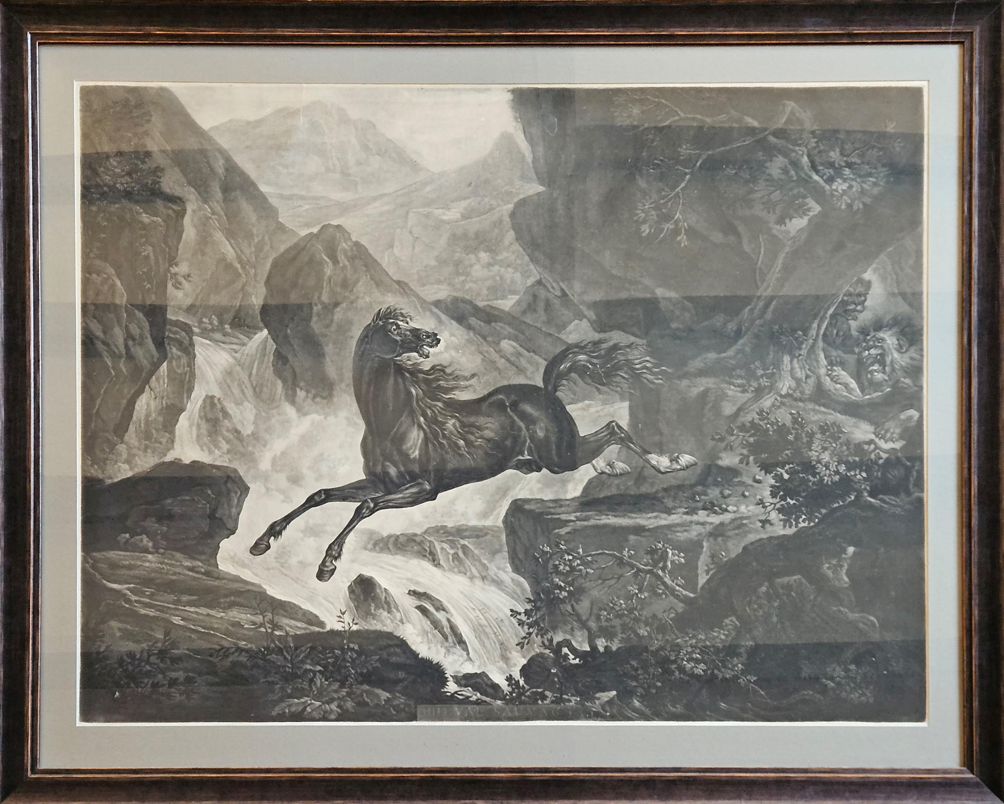 Carle Vernet Engraving "Le Cheval Sauvage" For Sale