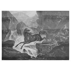 Carle Vernet Engraving "Le Cheval Sauvage"