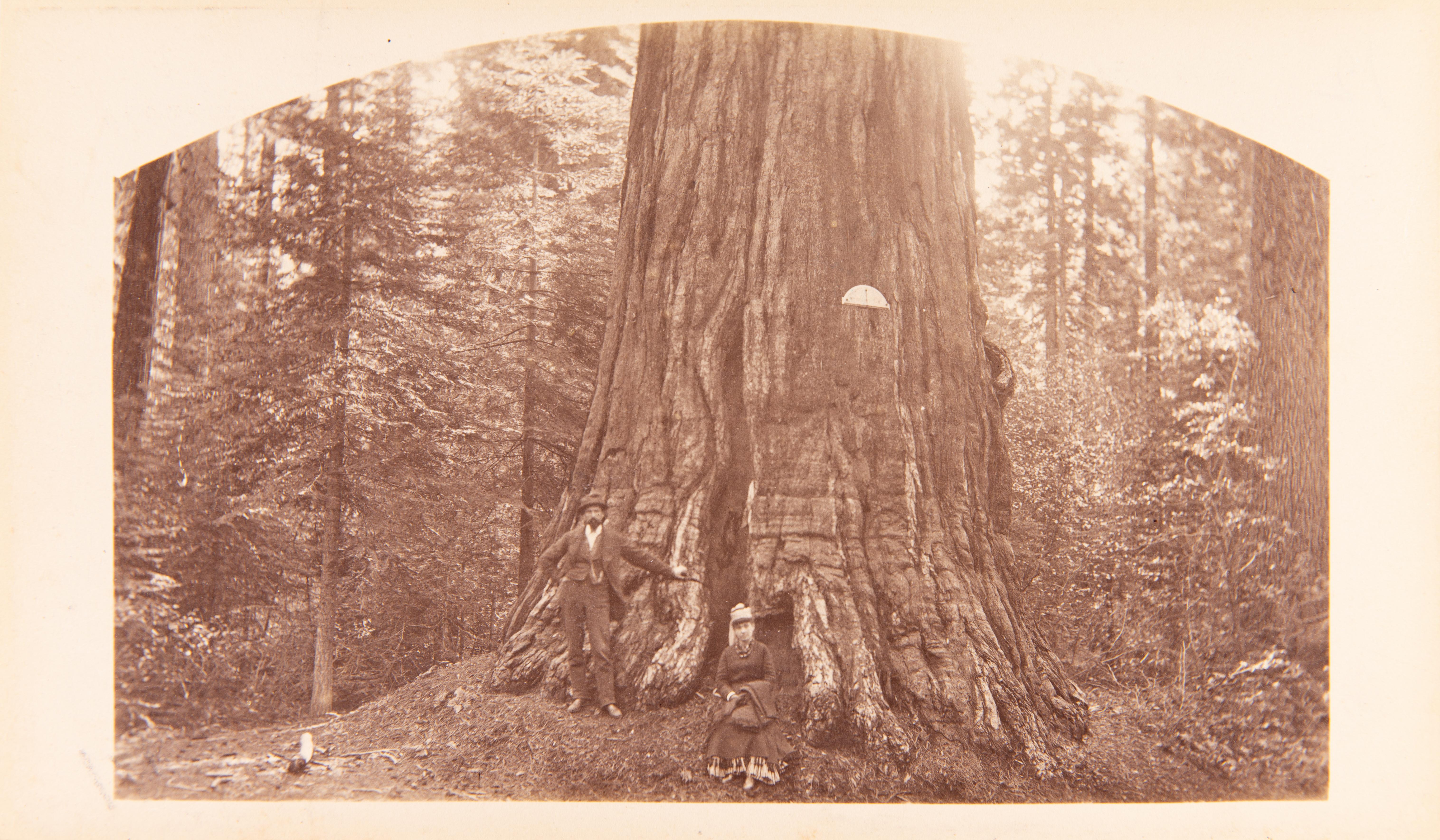 Calaveras Grove, CA en vente 1