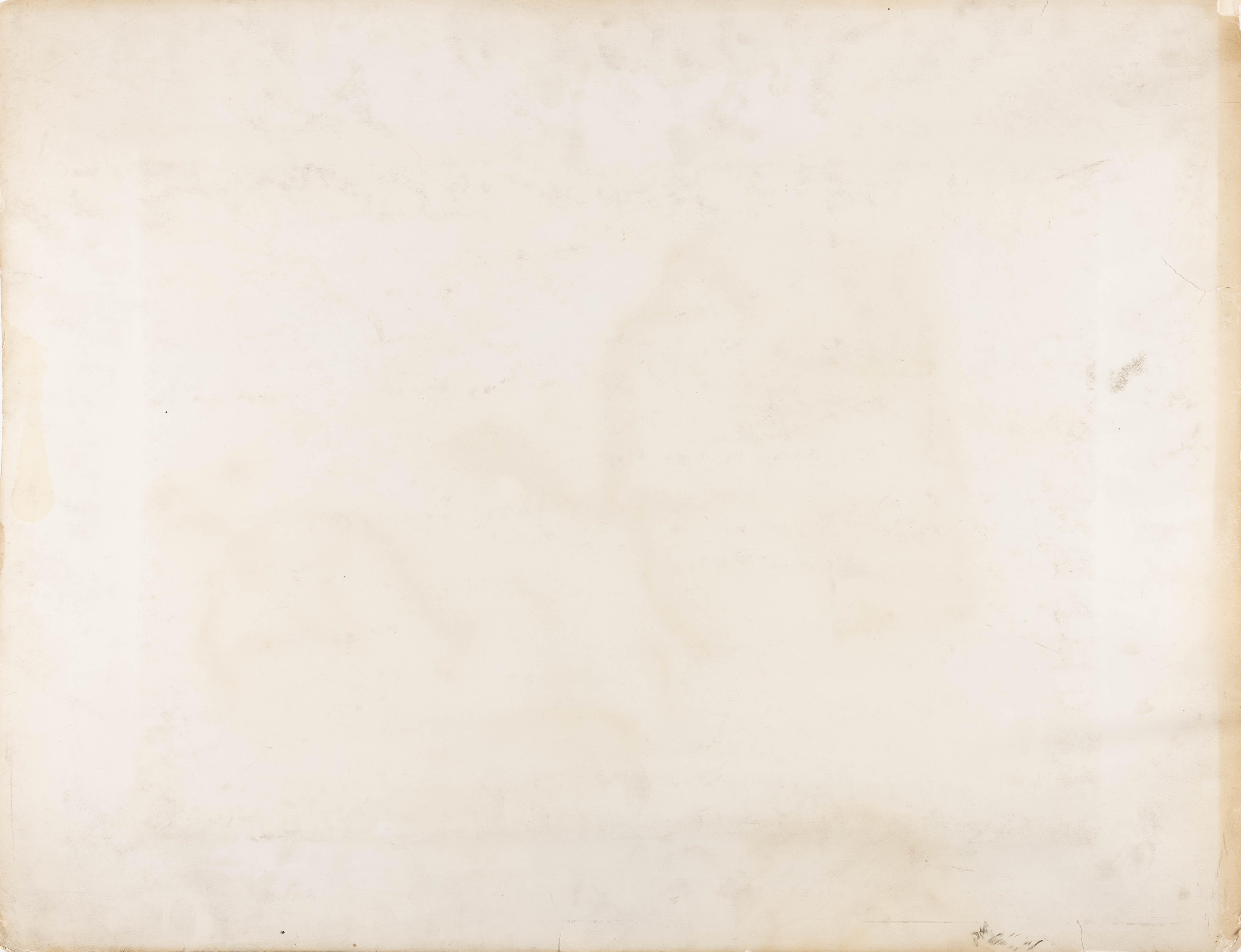 Section of the Grizzly Giant, Mariposa Grove, Yosemite - Photograph de Carleton Watkins